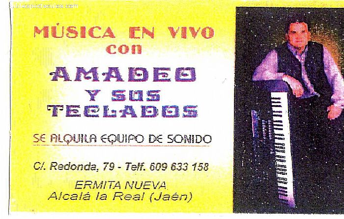 contratacion de artistas amadeo y sus teclados