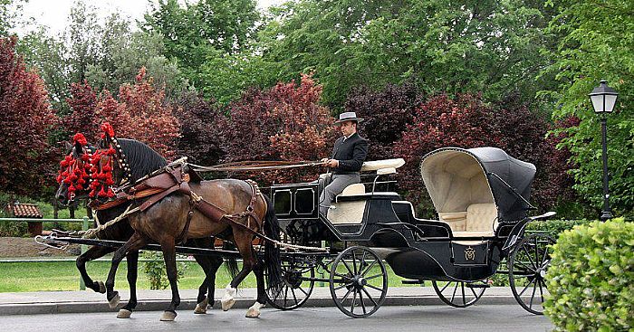 ver + información para la contratacion de COCHE DE CABALLOS artistas de Madrid