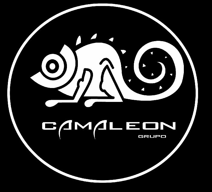 contratacion de artistas GRUPO CAMALEON