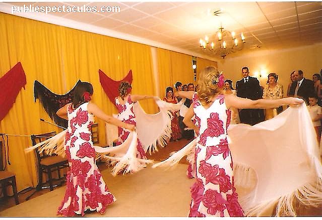 ver + información para la contratacion de embrujo flamenco artistas de Granada