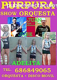 contratacion de artistas trio musical purpura show orquesta